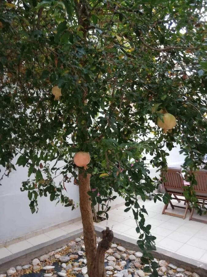 Pomegranate Apartment كاندية المظهر الخارجي الصورة